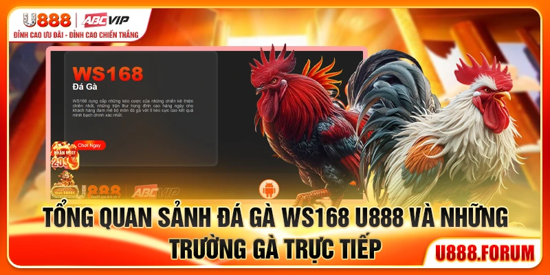 Tổng quan sảnh Ws168 U888 và những trường gà trực tiếp